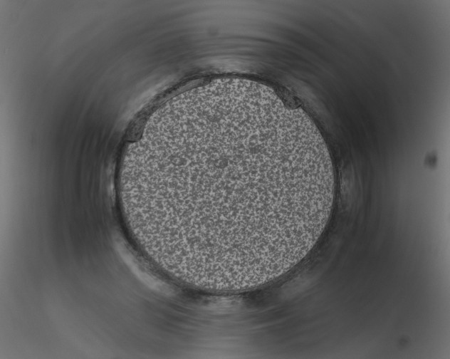 X0000116600398200912312101