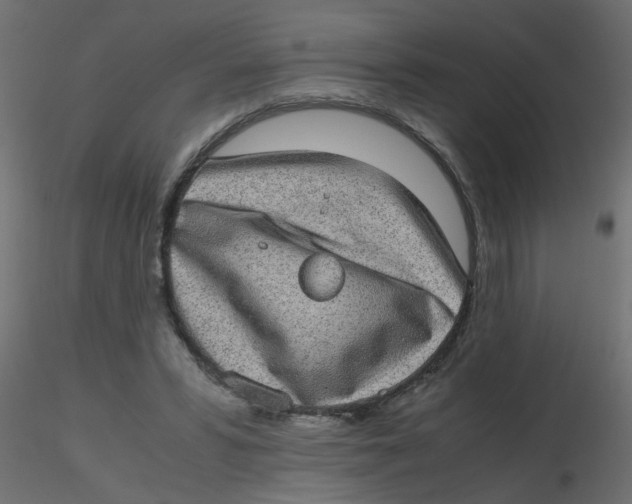 X0000116600399200912312101
