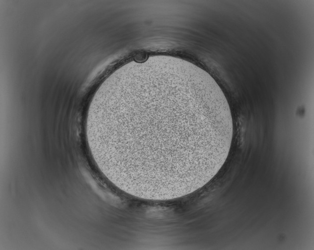 X0000116600400200912312101