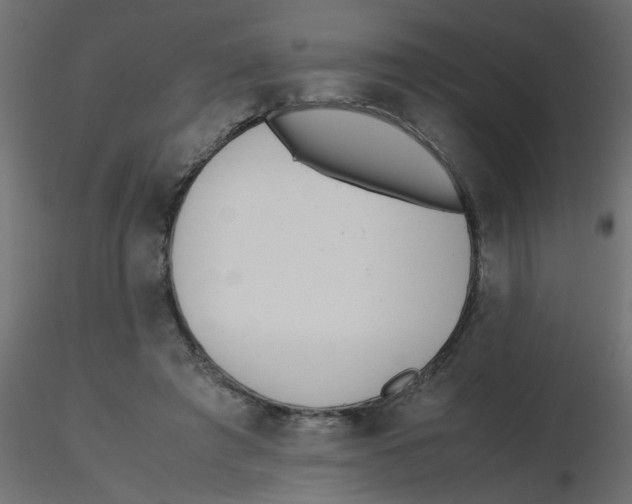X0000116600401200912312101