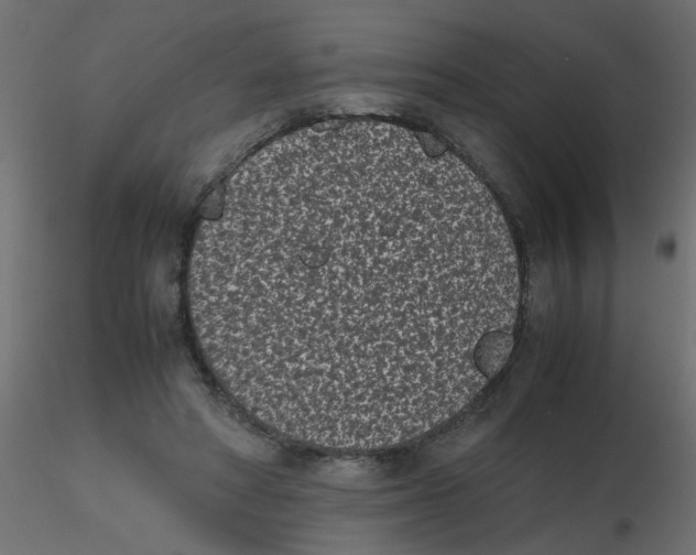 X0000116600402200912312101