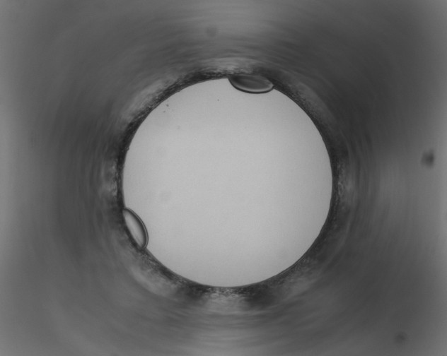 X0000116600403200912312101