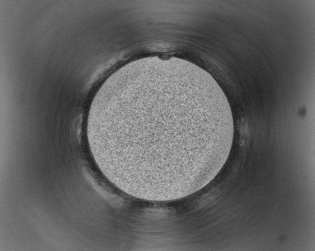 X0000116600404200912312101