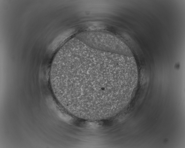 X0000116600405200912312101