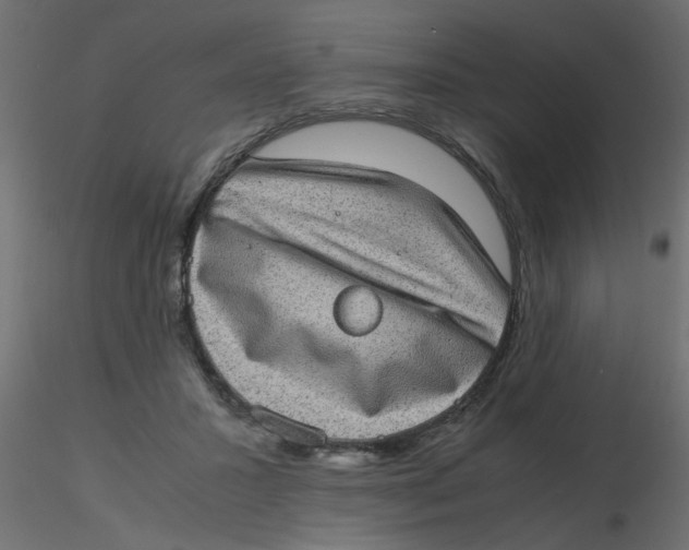 X0000116600407200912312101
