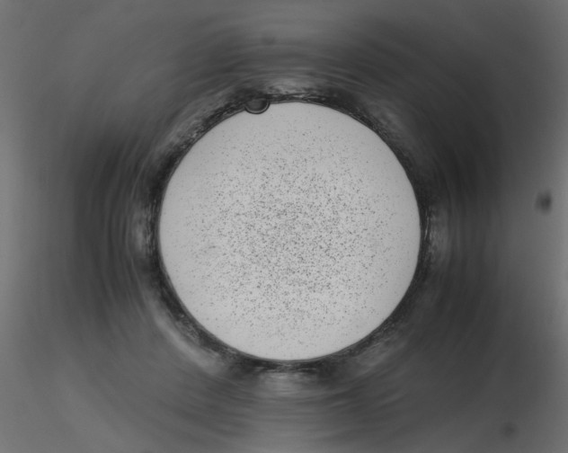 X0000116600408200912312101