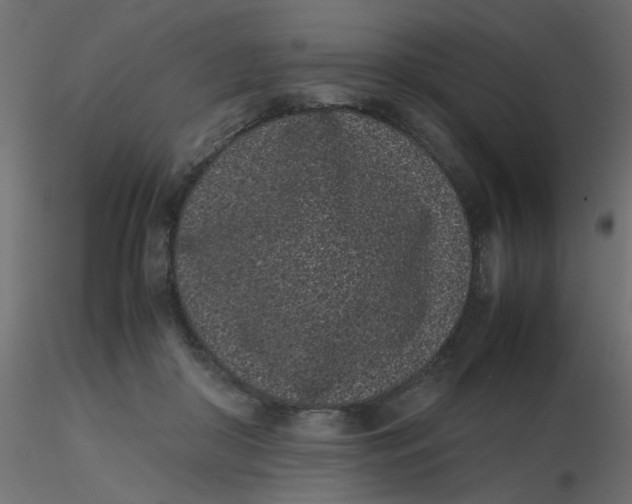 X0000116600410200912312101