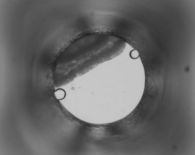 X0000116600411200912312101