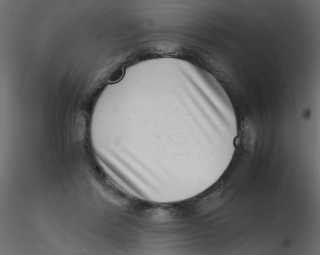 X0000116600412200912312101