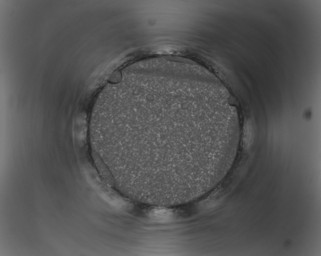 X0000116600413200912312101
