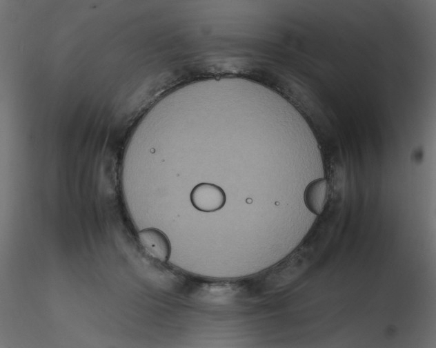 X0000116600414200912312101
