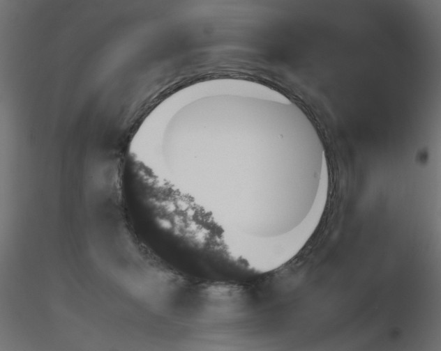 X0000116600415200912312101