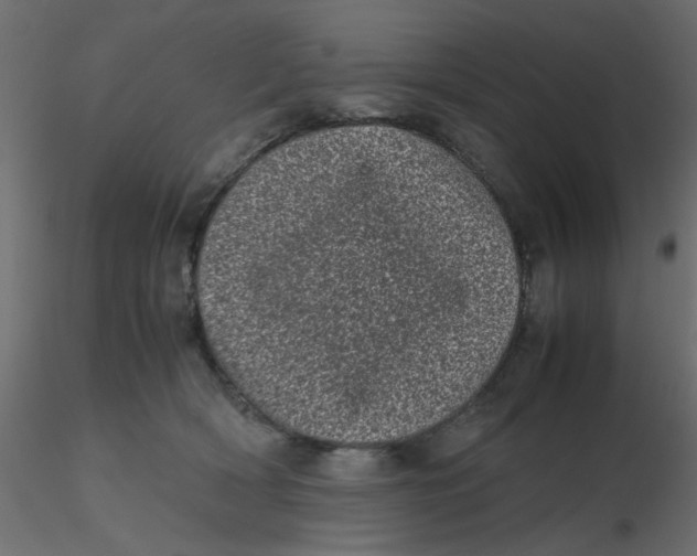X0000116600418200912312101