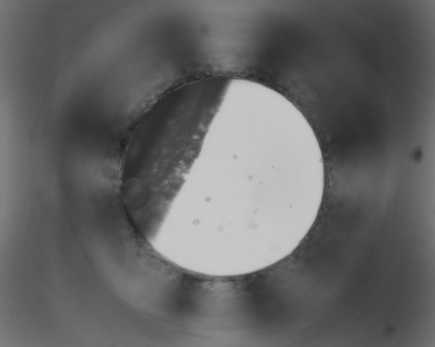 X0000116600419200912312101