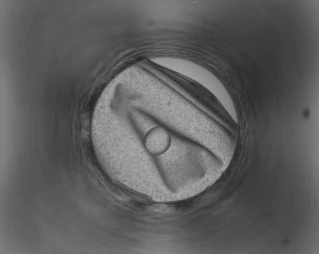 X0000116600421200912312101