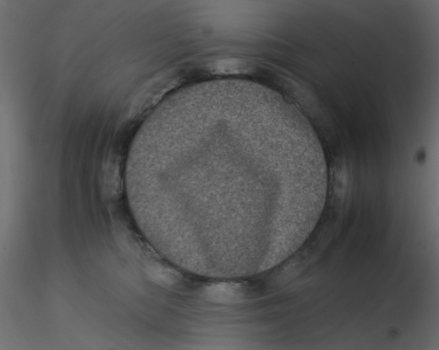 X0000116600422200912312101