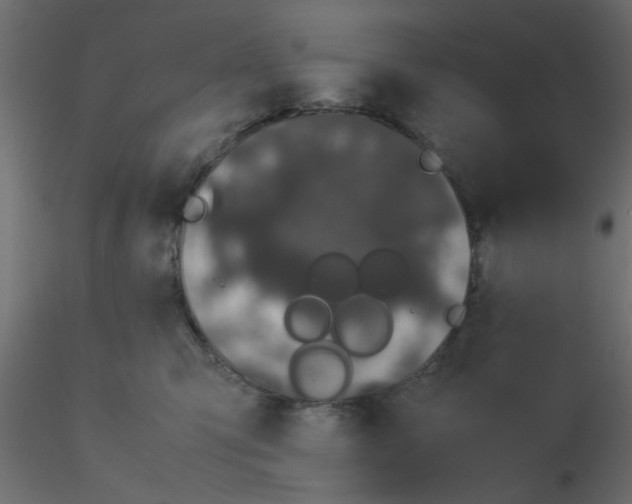 X0000116600423200912312101