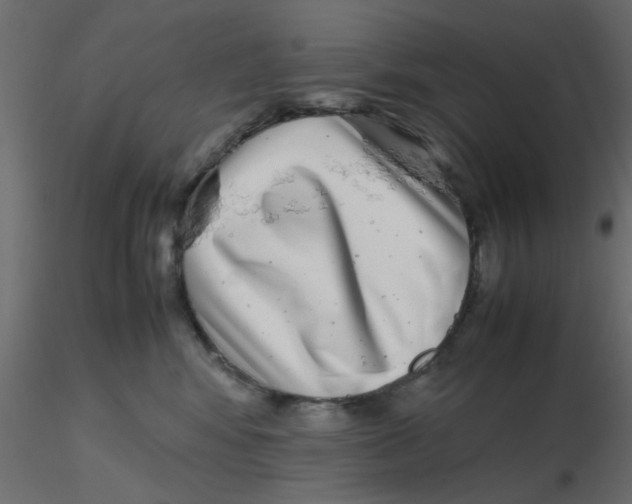 X0000116600424200912312101