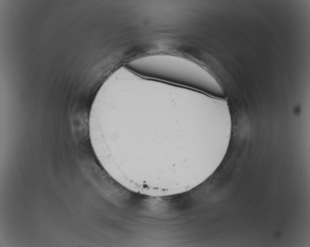 X0000116600425200912312101