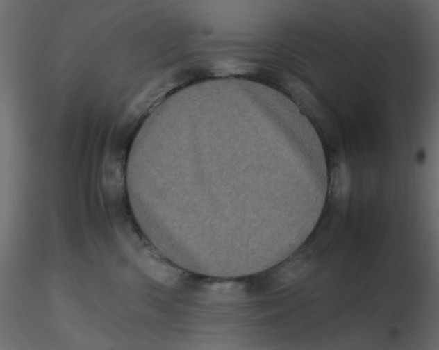 X0000116600426200912312101