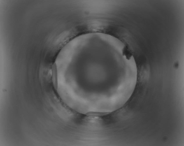X0000116600427200912312101