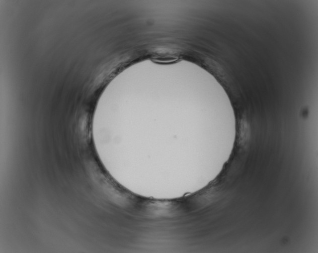 X0000116600428200912312101