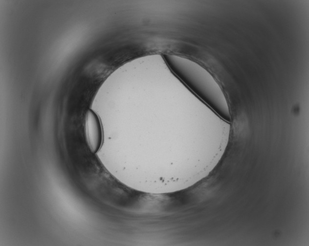X0000116600429200912312101