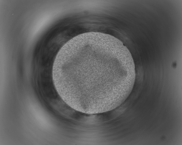 X0000116600430200912312101