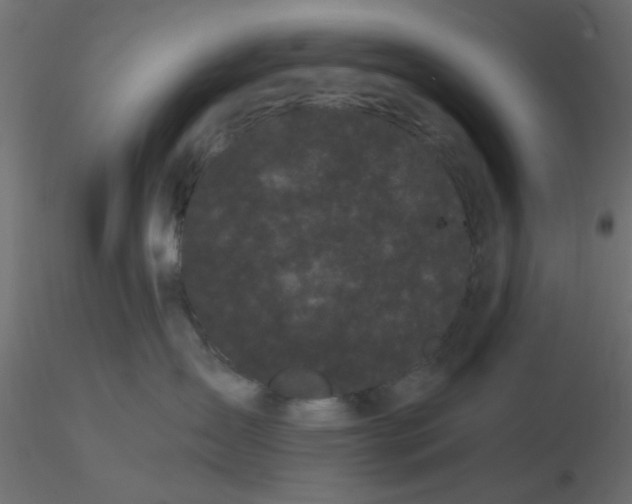 X0000116600431200912312101
