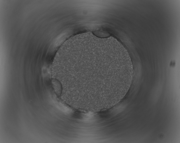 X0000116600432200912312101