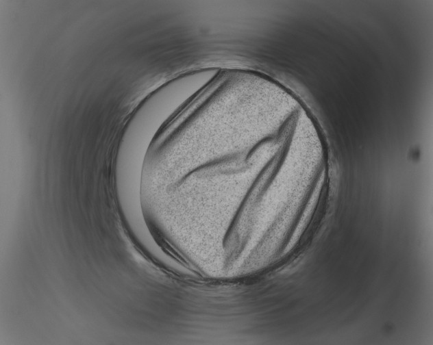 X0000116600433200912312100