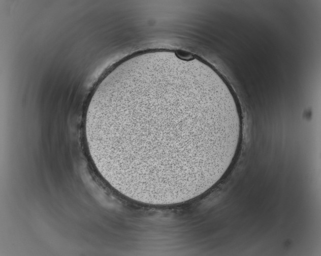 X0000116600434200912312100