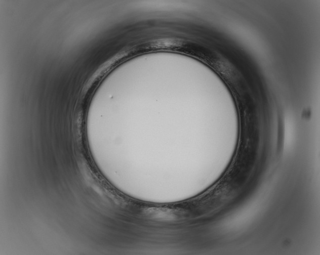 X0000116600435200912312100