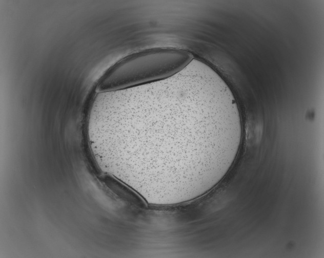 X0000116600436200912312100