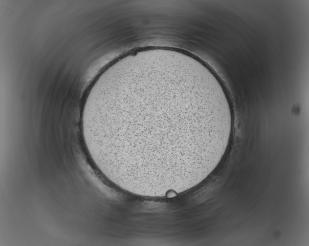 X0000116600437200912312100