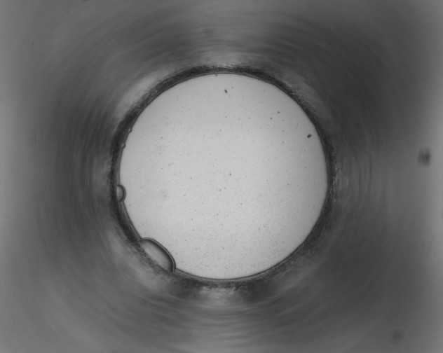 X0000116600440200912312100