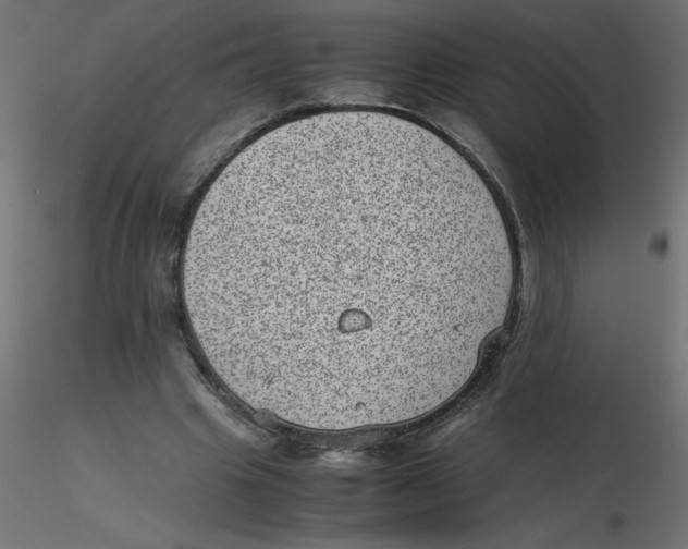 X0000116600441200912312100