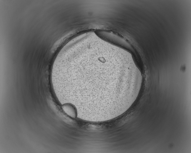 X0000116600442200912312100