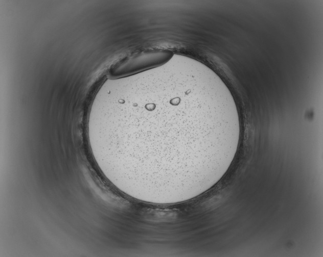 X0000116600443200912312100