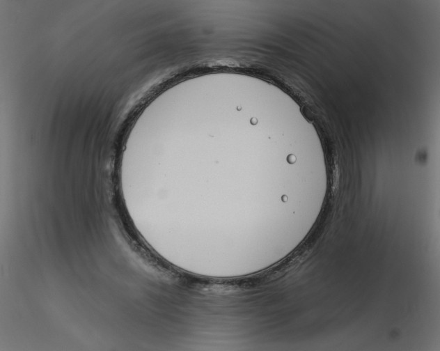 X0000116600444200912312100