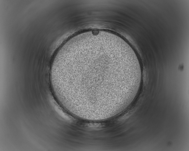 X0000116600445200912312100