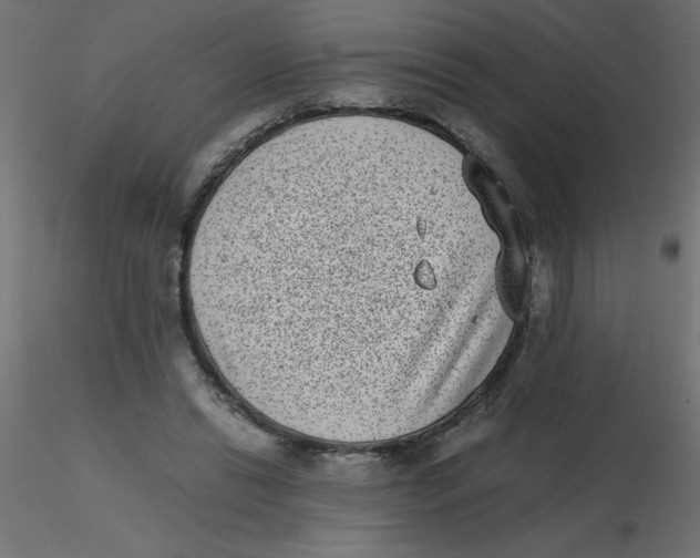 X0000116600446200912312100