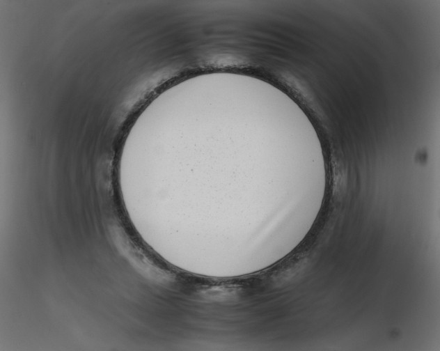 X0000116600447200912312100