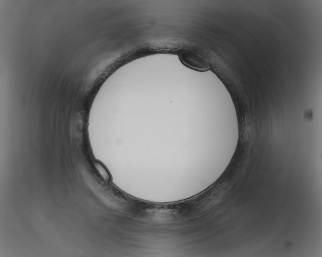 X0000116600448200912312100