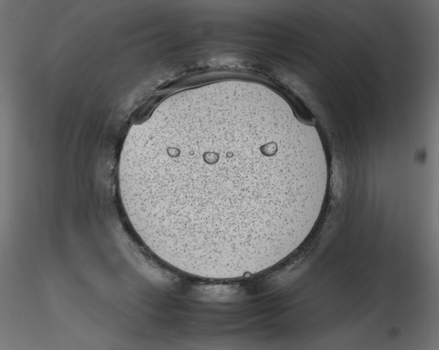 X0000116600449200912312100
