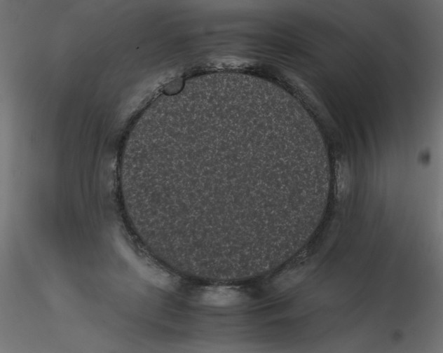 X0000116600451200912312100