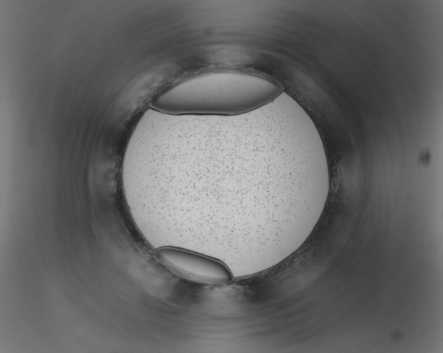 X0000116600452200912312100