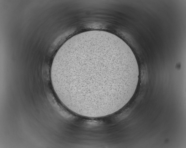 X0000116600453200912312100