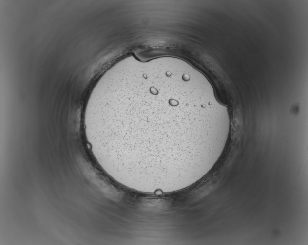 X0000116600454200912312100