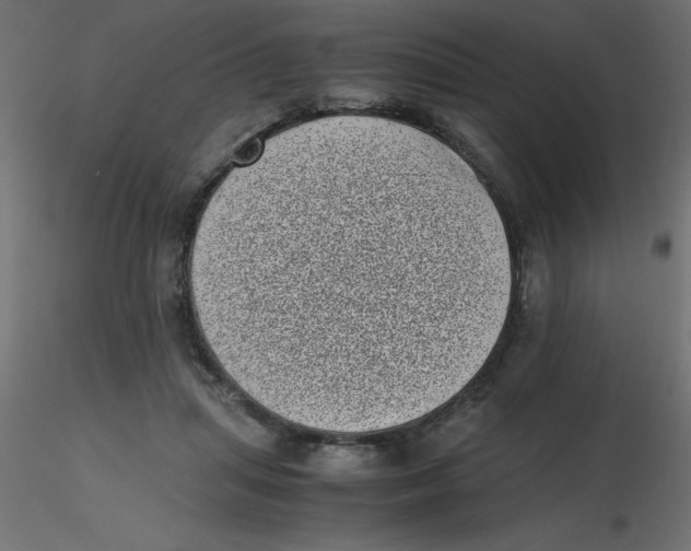 X0000116600455200912312100